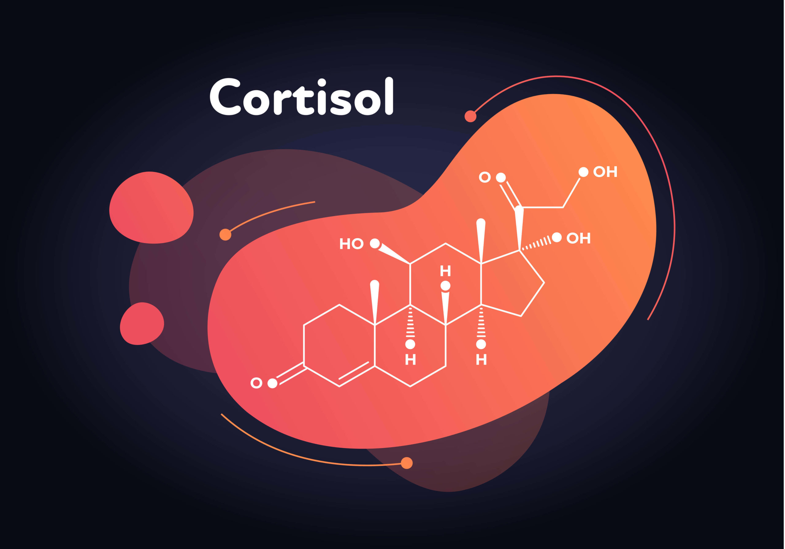 Le cortisol : l&rsquo;hormone du stress en musculation