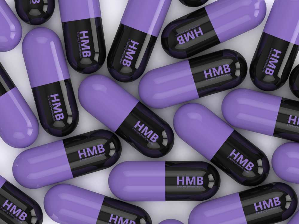 HMB le supplément idéal pour protéger la masse musculaire