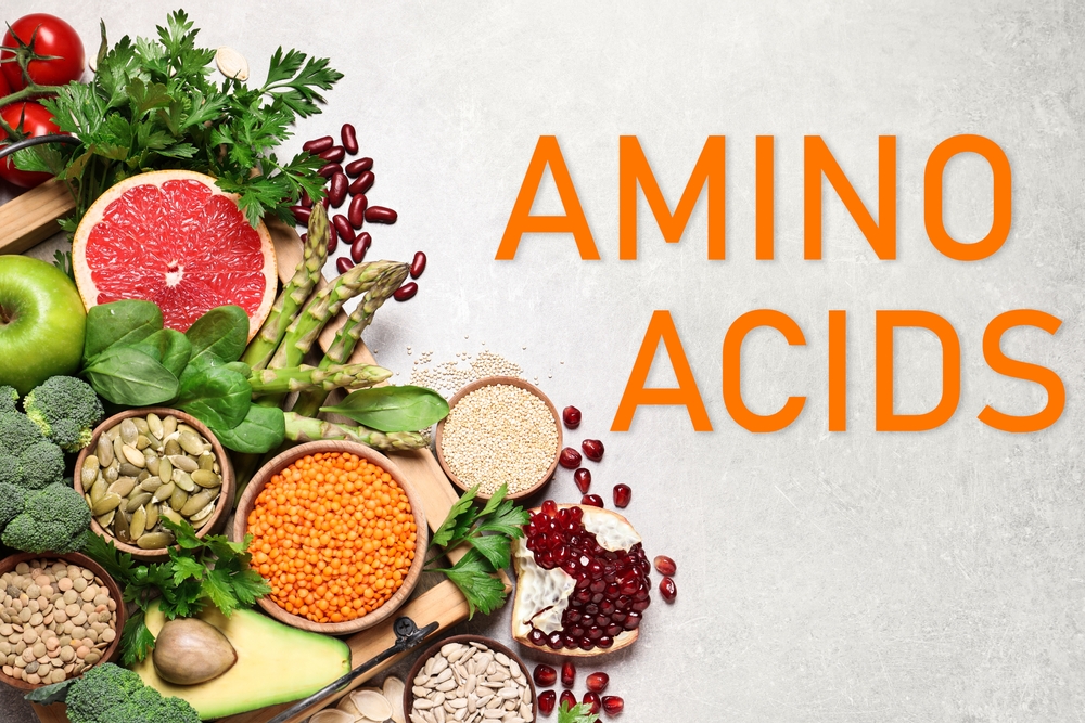 Où trouver les 8 acides aminés essentiels ?