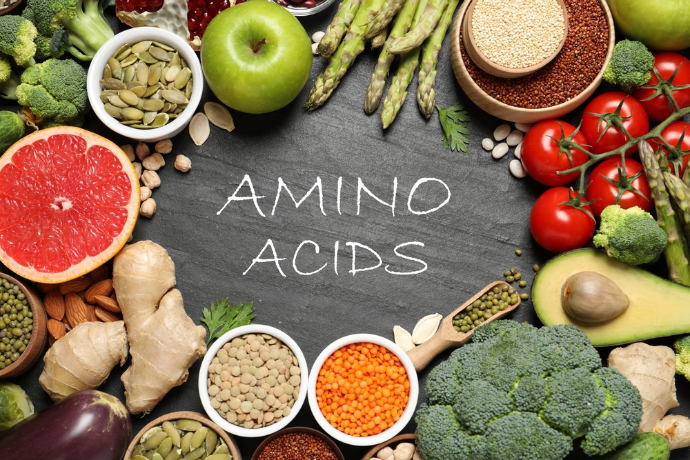 Les acides aminés en musculation : essentiels, BCAA et compléments