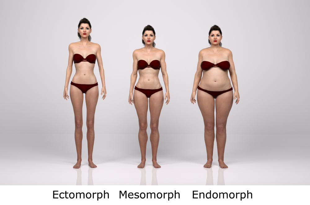 La nutrition de l&rsquo;ectomorphe : prendre du poids et du muscle quand on est « hardgainer »