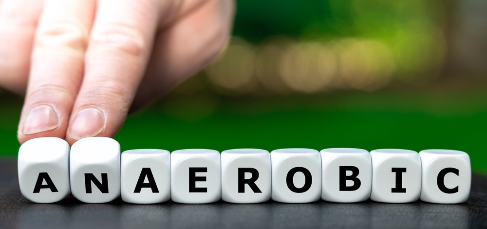 Guide complet sur l&rsquo;anaérobie