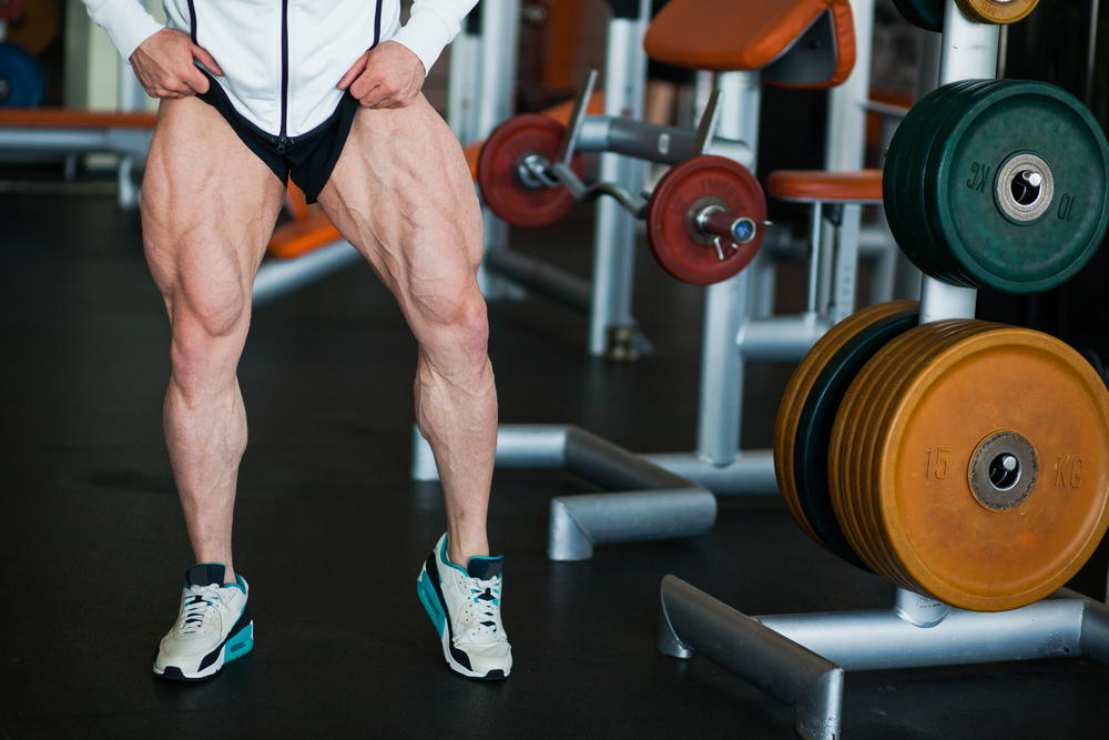 Biceps fémoral : Anatomie, pathologie, soin, tout savoir sur ce muscle de l’ischio-jambier