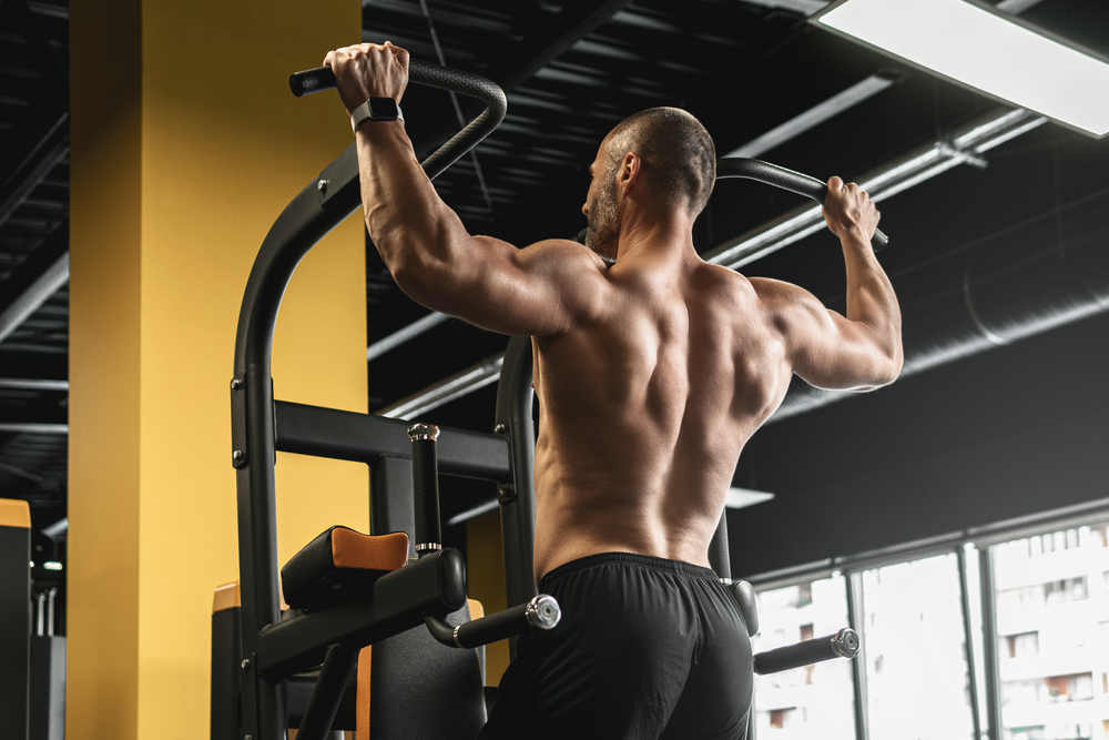 Muscle grand dorsal anatomie pathologie et soin