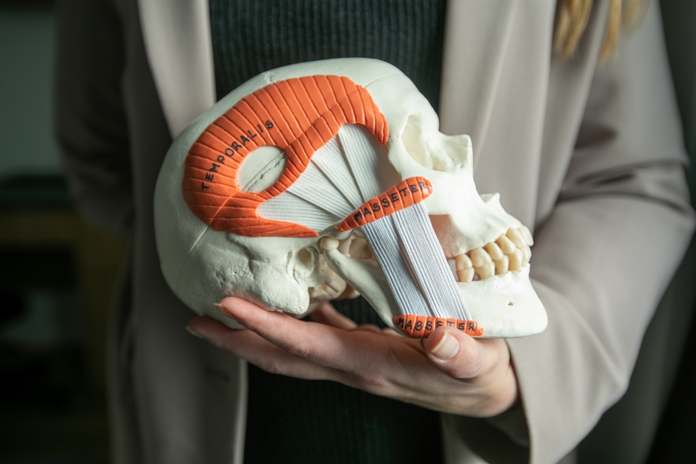 Pathologie du muscle masséter et de ses parties environnantes