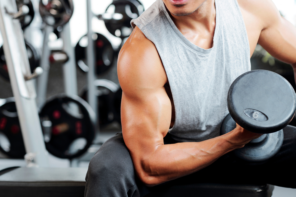 Biceps brachial : Anatomie, pathologie, soins