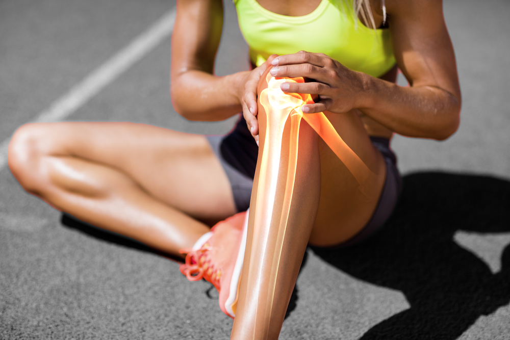 Les rotules : le genou et anatomie